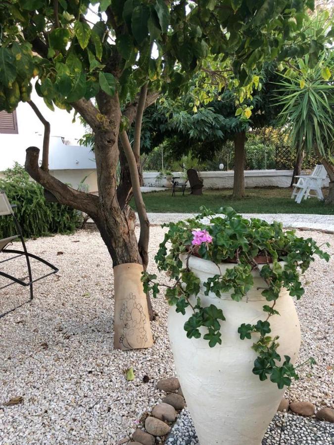 Il Gelso Nella Valle Agrigento Luaran gambar